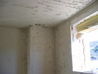 Img. 7 Yeso Proyectado.JPG